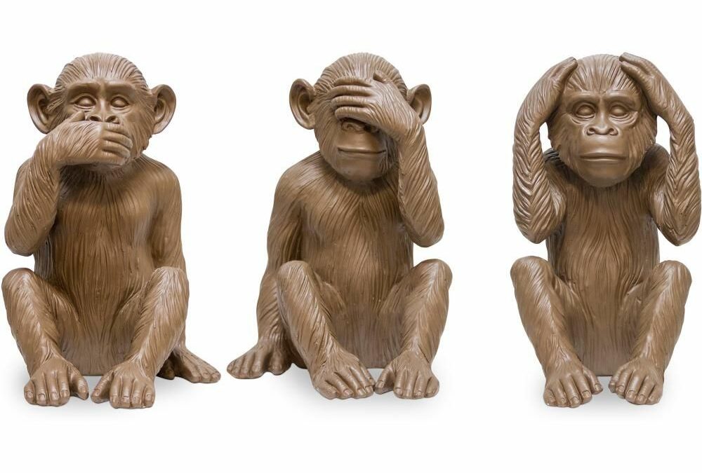 Quels biais cognitifs catalysent les difficultés de l’entreprise ?                N°1 : l’aveuglement