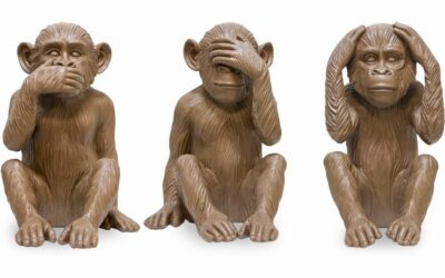 Quels biais cognitifs catalysent les difficultés de l’entreprise ?                N°1 : l’aveuglement